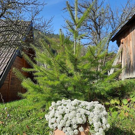 Vikendica Neven Villa Zaovine Ngoại thất bức ảnh